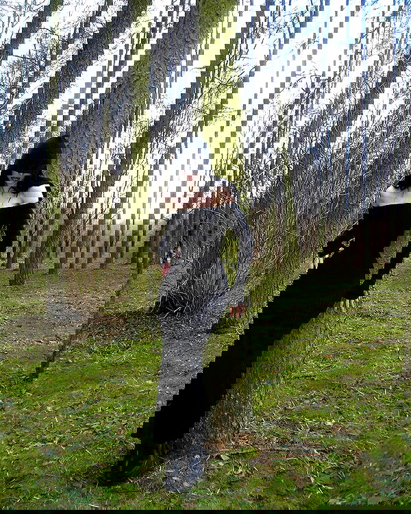 quincymood quincymood archive image