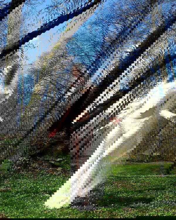 quincymood quincymood archive image