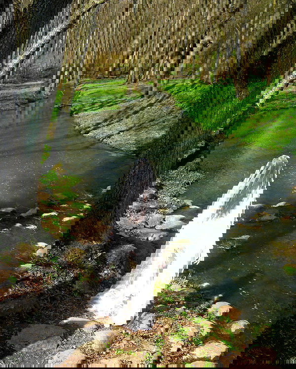 quincymood quincymood archive image