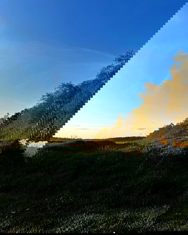 quincymood quincymood archive image