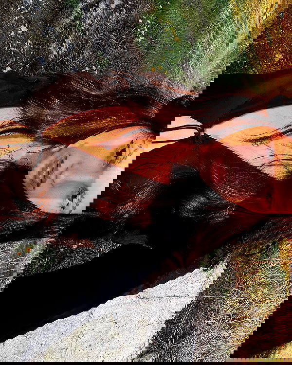 quincymood quincymood archive image