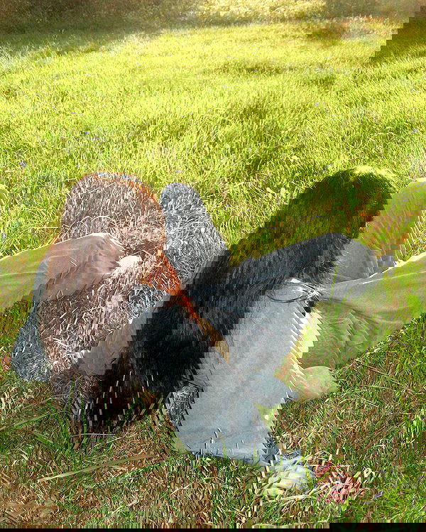 quincymood quincymood archive image