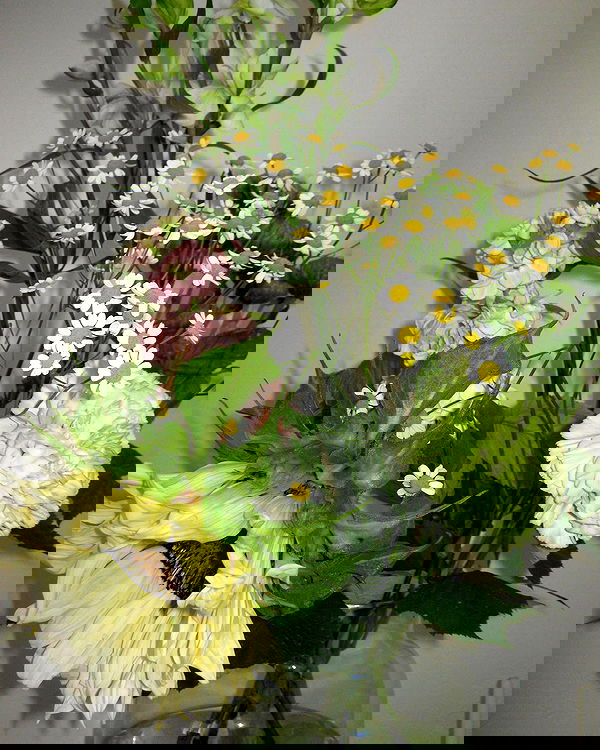 quincymood quincymood archive image