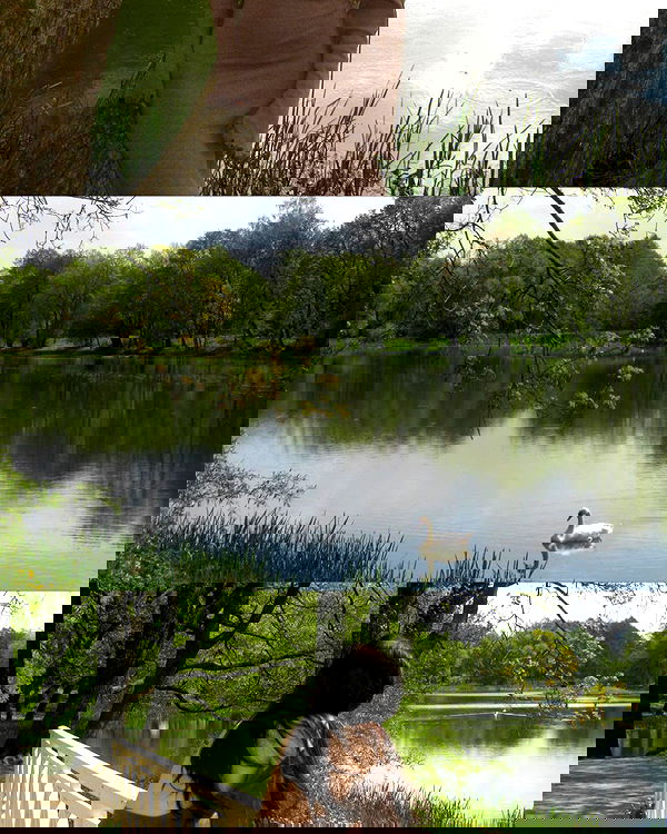 quincymood quincymood archive image