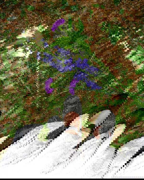 quincymood quincymood archive image