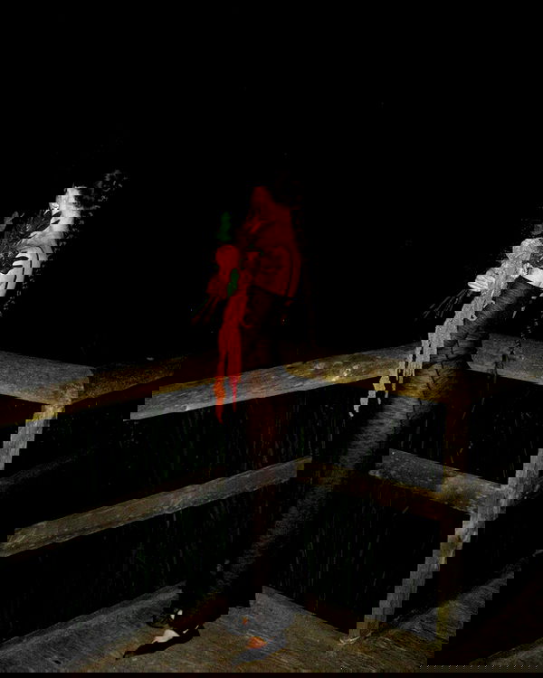 quincymood quincymood archive image