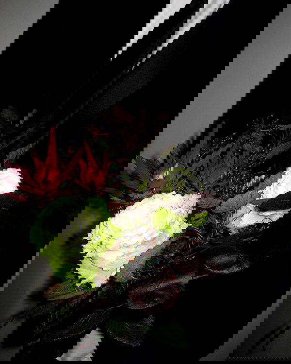 quincymood quincymood archive image