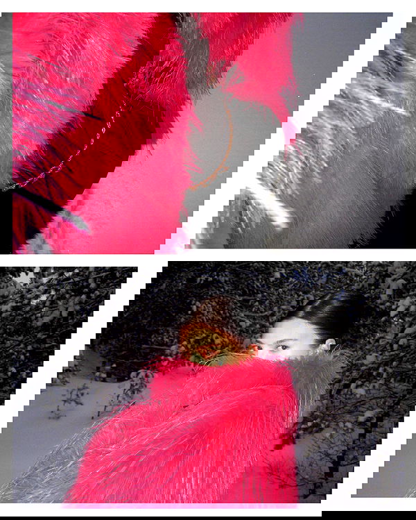 quincymood quincymood archive image