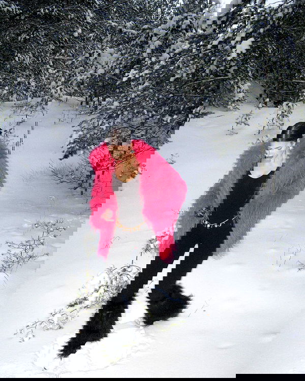 quincymood quincymood archive image