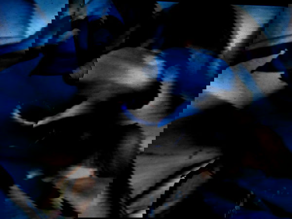 quincymood quincymood archive image