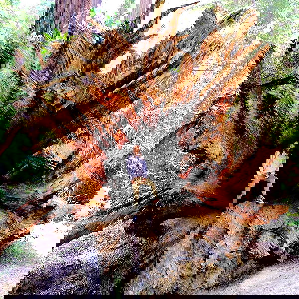 rachelc00k rachelc00k archive image