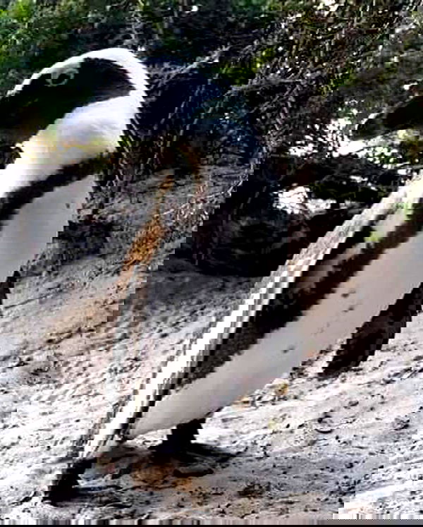 rachelc00k rachelc00k archive image