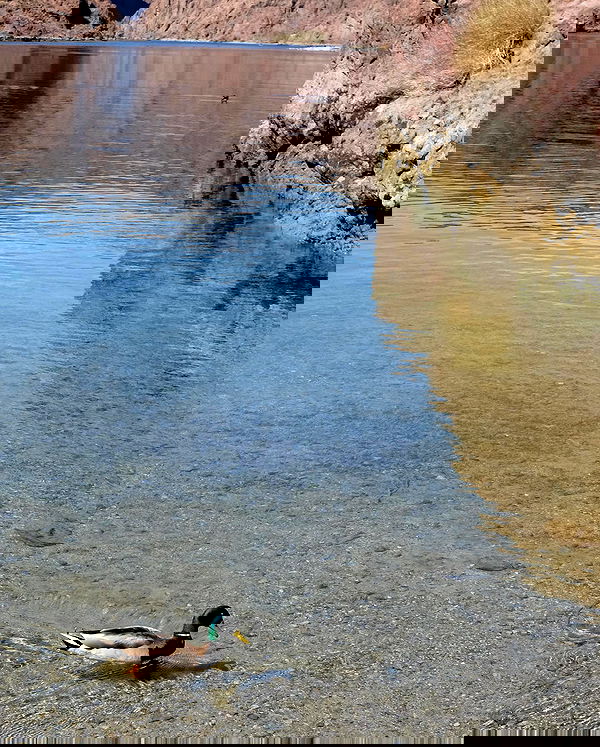 rachelc00k rachelc00k archive image