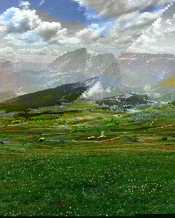 rachelc00k rachelc00k archive image