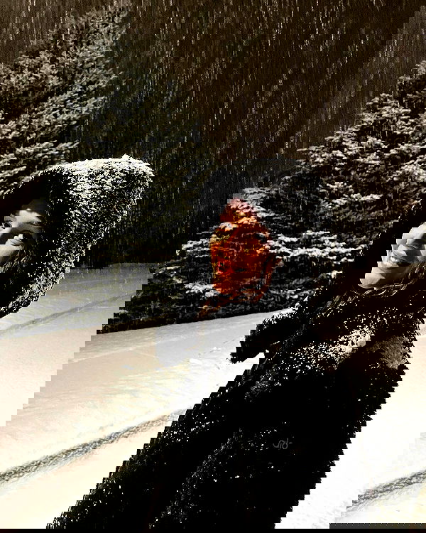 rachelc00k rachelc00k archive image