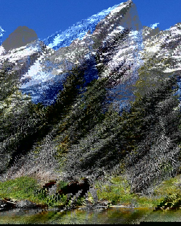 rachelc00k rachelc00k archive image