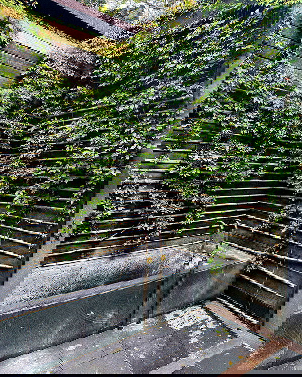 rachelc00k rachelc00k archive image