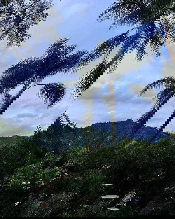 rachelc00k rachelc00k archive image