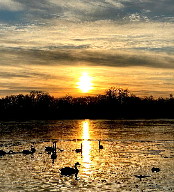 rashan.mh instagram image archive image