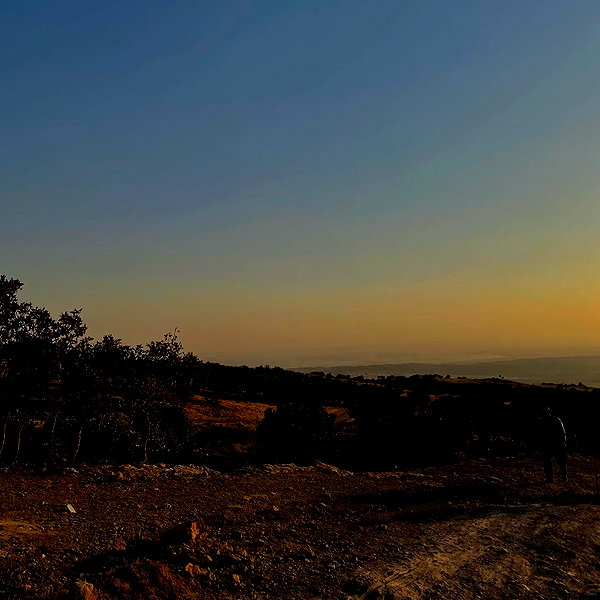 rashan.mh instagram image archive image