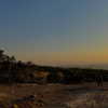 rashan.mh Altpins Profile Picture
