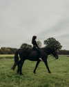 rashan.mh Altpins Profile Picture