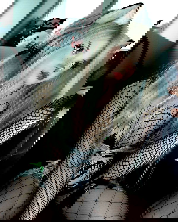 ratskeleton ratskeleton archive image