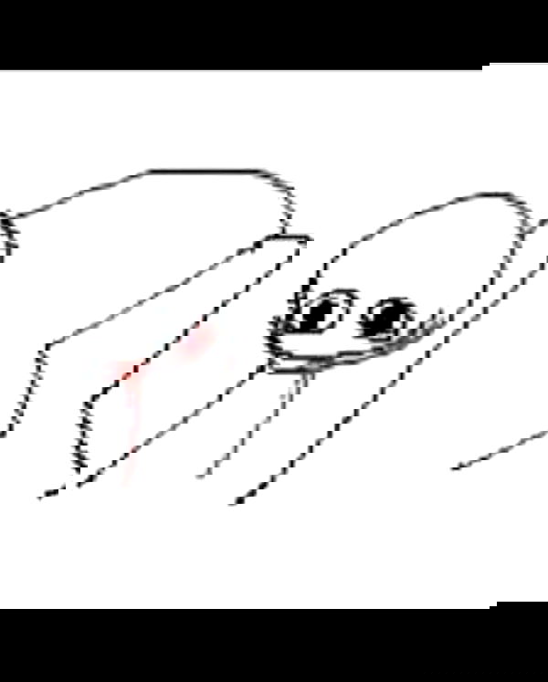 ratskeleton ratskeleton archive image