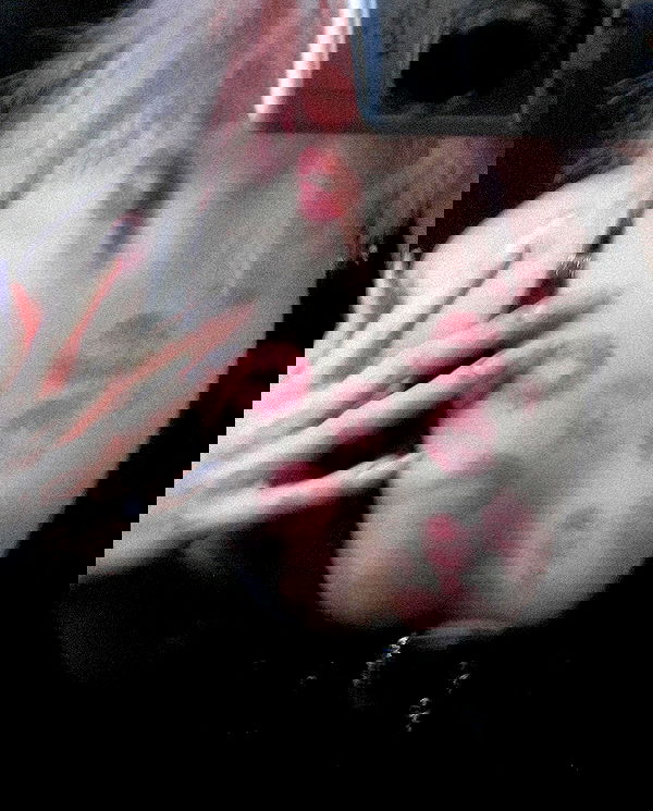 ratskeleton ratskeleton archive image