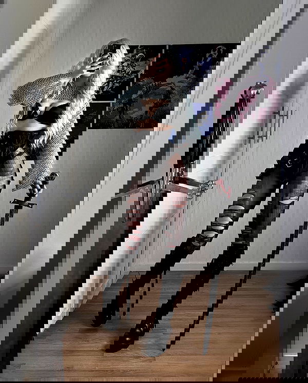 ratskeleton ratskeleton archive image