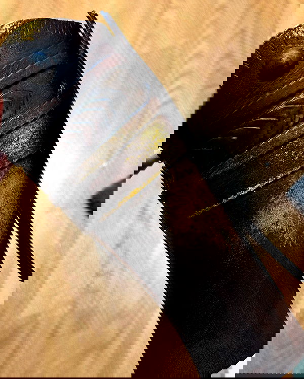 ratskeleton ratskeleton archive image