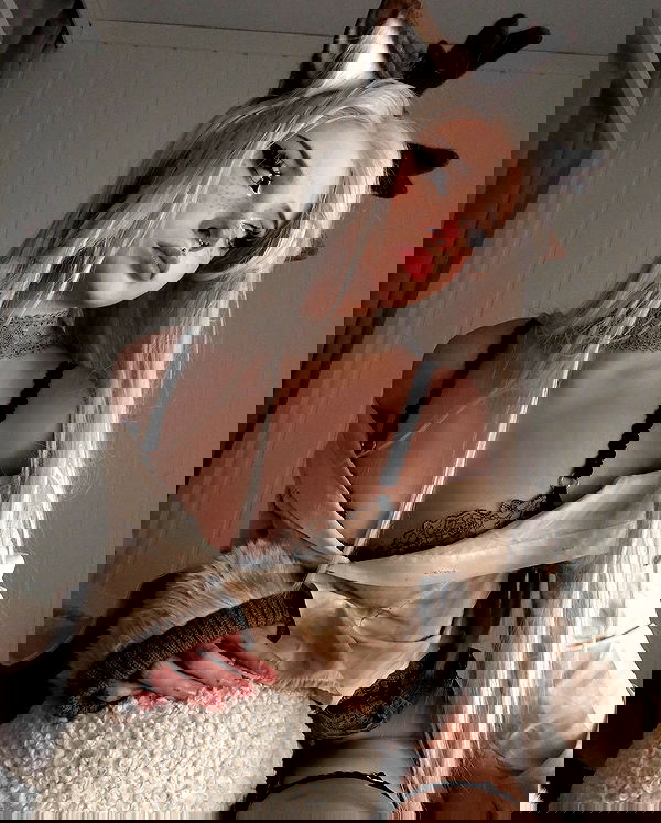 ratskeleton ratskeleton archive image