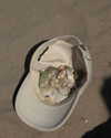 reebeccasanchezzz Altpins Profile Picture