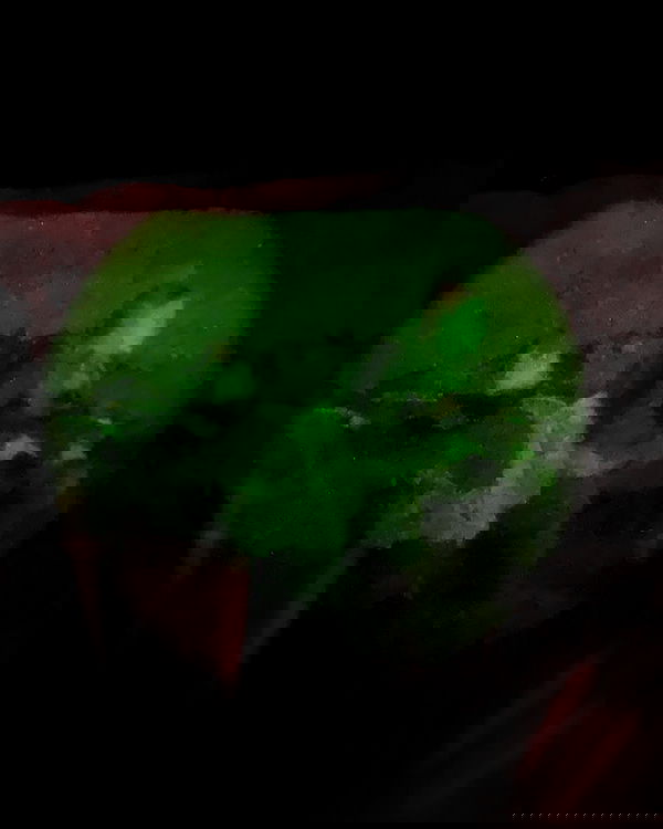 rene2141 rene2141 archive image