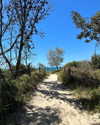 rhiannonmates Altpins Profile Picture