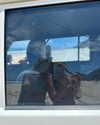 rhiannonmates Altpins Profile Picture