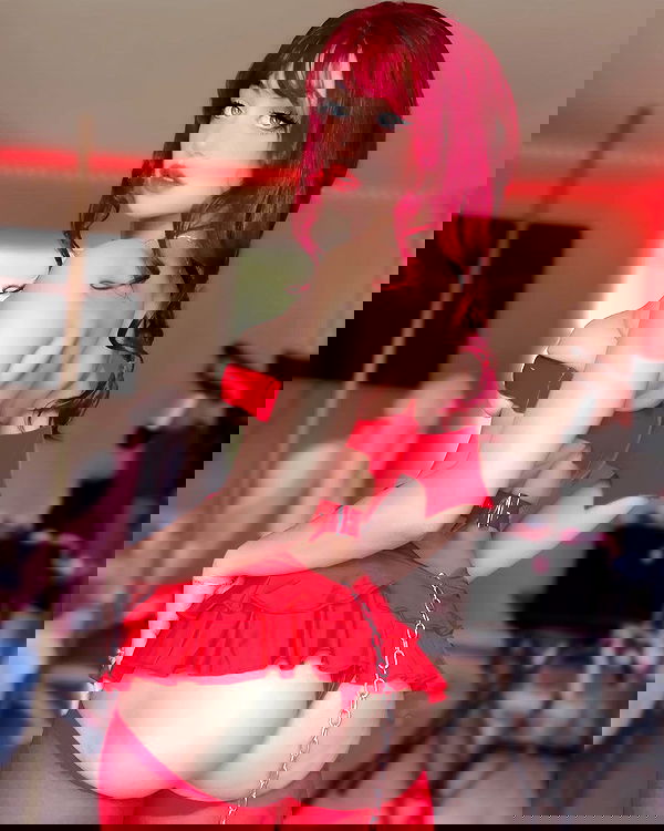 rinnibunny rinnibunny archive image