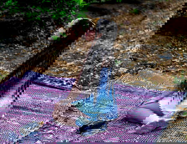 rinsrain rinsrain archive image