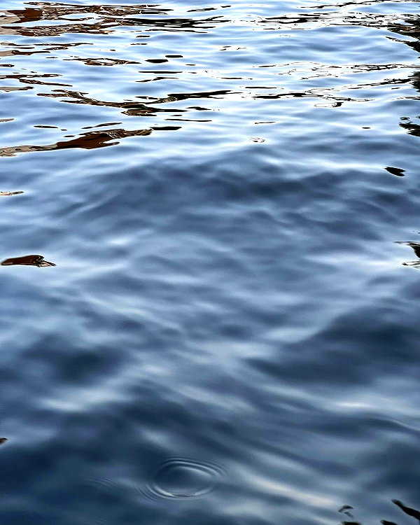 romitalblt instagram image archive image