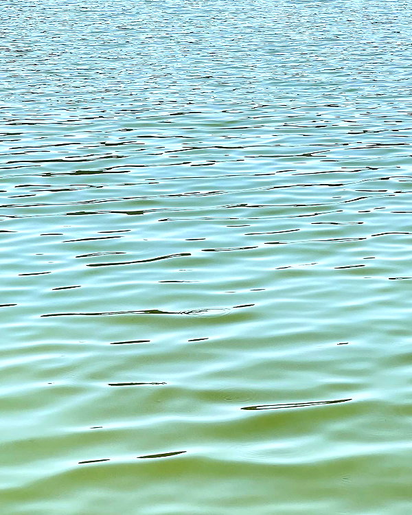 romitalblt instagram image archive image