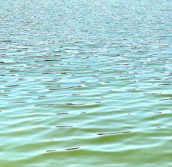 romitalblt instagram image archive image