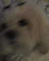 romitalblt Altpins Profile Picture