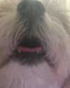 romitalblt Altpins Profile Picture