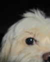 romitalblt Altpins Profile Picture