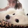 romy_lavi Altpins Profile Picture