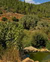 romy_lavi Altpins Profile Picture