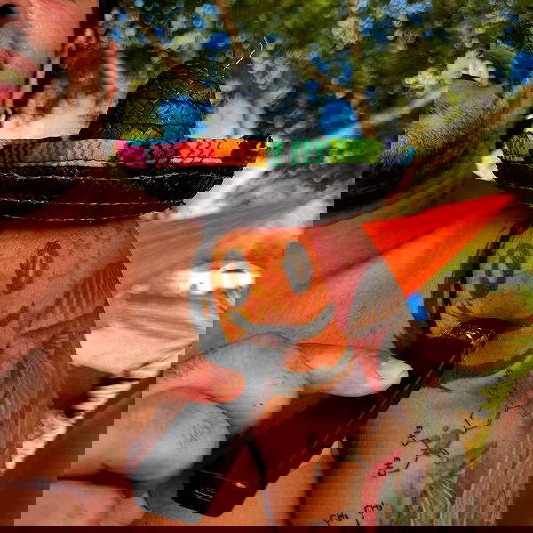 romy_lavi romy_lavi archive image