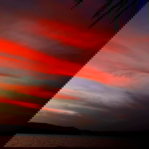 romy_lavi romy_lavi archive image