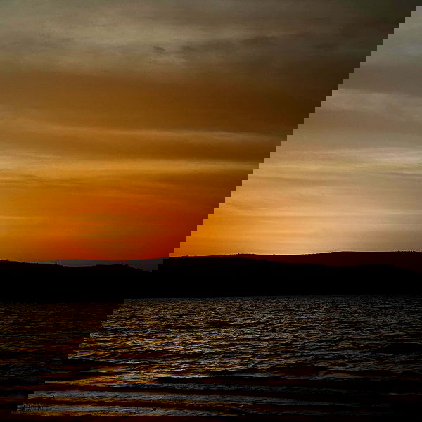 romy_lavi romy_lavi archive image