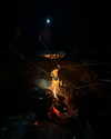 roni_ackerman Altpins Profile Picture